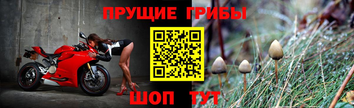 Добрянка  Галлюциногенные грибы Psilocybine cubensis  Вход с VPN  Галлюциногенные грибы Psilocybe 